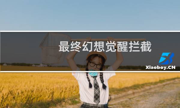 最终幻想觉醒拦截