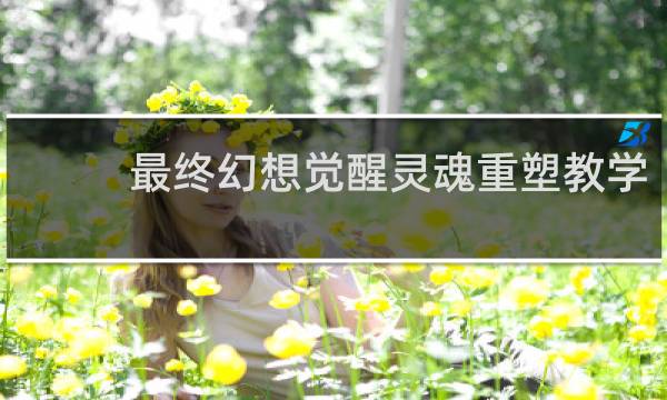 最终幻想觉醒灵魂重塑教学