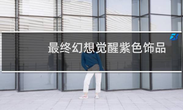 最终幻想觉醒紫色饰品
