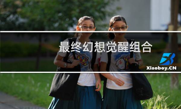 最终幻想觉醒组合