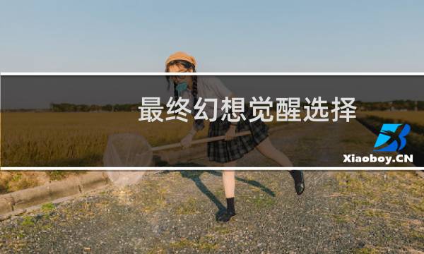 最终幻想觉醒选择