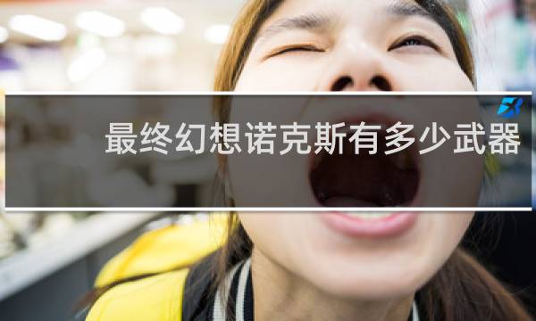 最终幻想诺克斯有多少武器