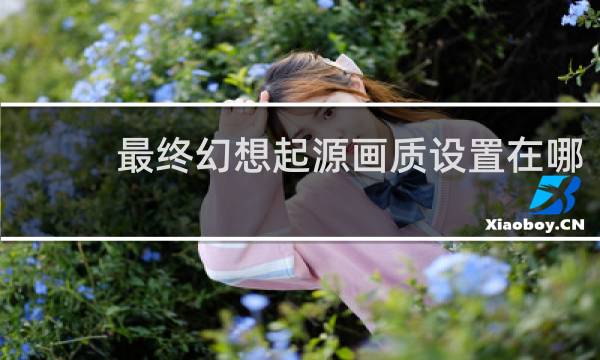 最终幻想起源画质设置在哪