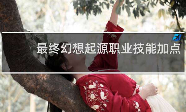 最终幻想起源职业技能加点
