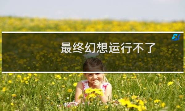 最终幻想运行不了