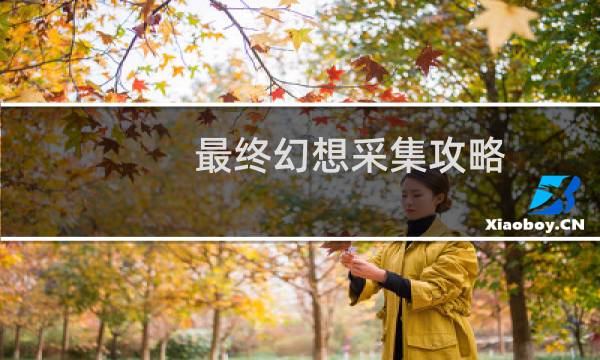 最终幻想采集攻略