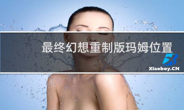 最终幻想重制版玛姆位置