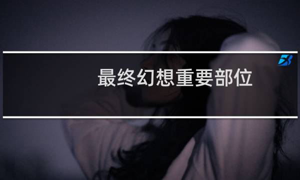 最终幻想重要部位