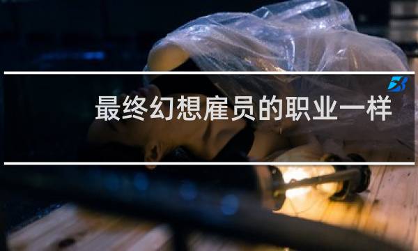 最终幻想雇员的职业一样