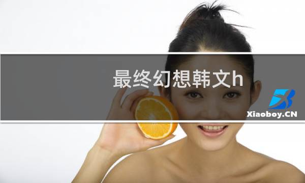 最终幻想韩文h