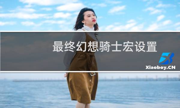 最终幻想骑士宏设置
