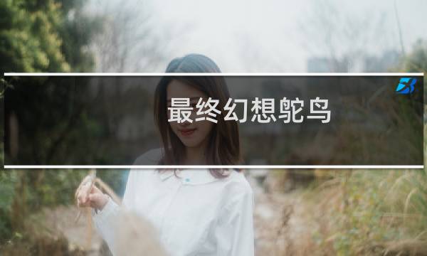 最终幻想鸵鸟