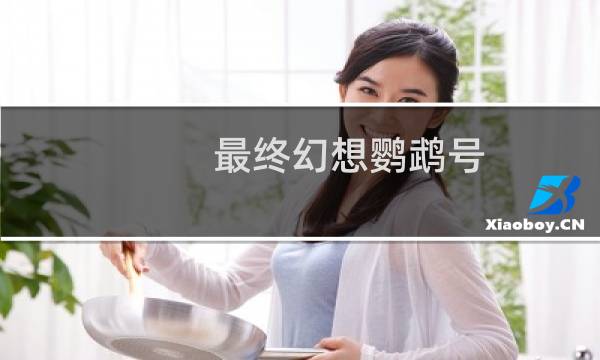 最终幻想鹦鹉号