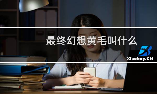 最终幻想黄毛叫什么