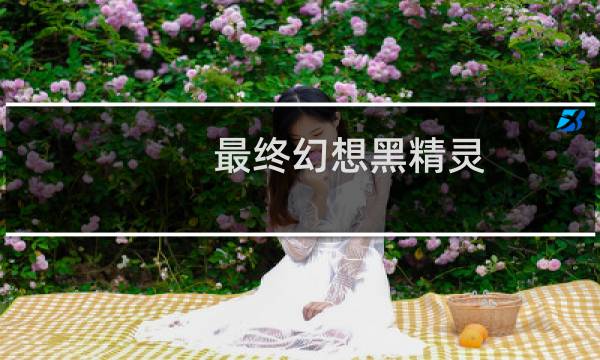 最终幻想黑精灵