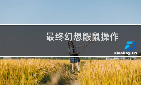 最终幻想鼹鼠操作