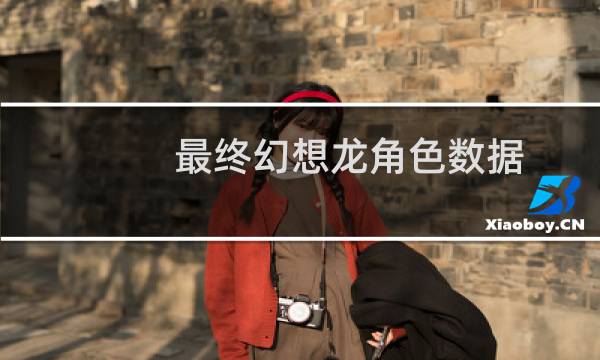 最终幻想龙角色数据