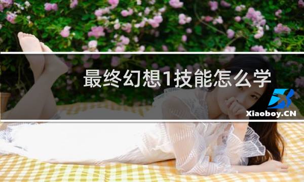 最终幻想1技能怎么学