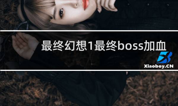 最终幻想1最终boss加血