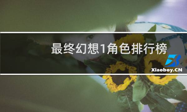 最终幻想1角色排行榜