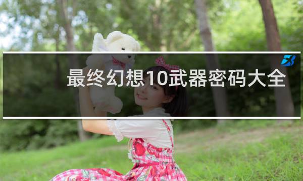 最终幻想10武器密码大全