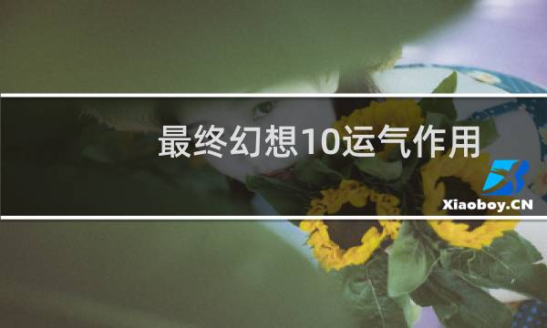 最终幻想10运气作用