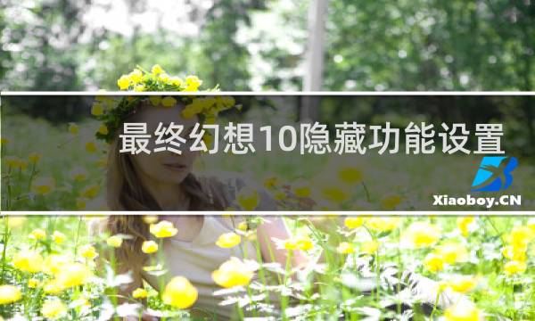 最终幻想10隐藏功能设置