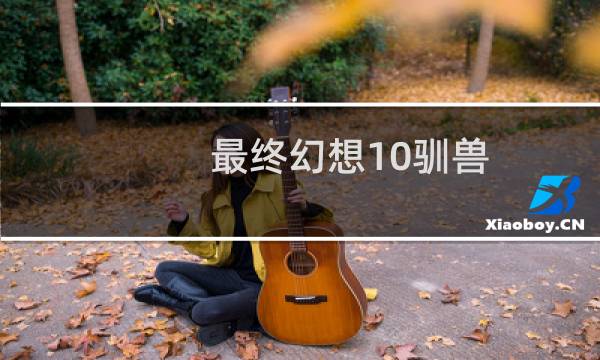 最终幻想10驯兽