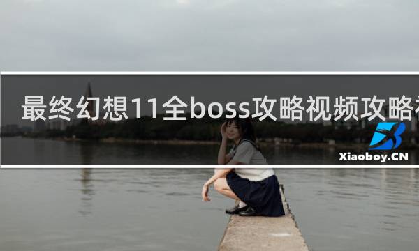 最终幻想11全boss攻略视频攻略视频