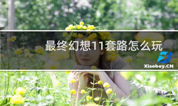 最终幻想11套路怎么玩