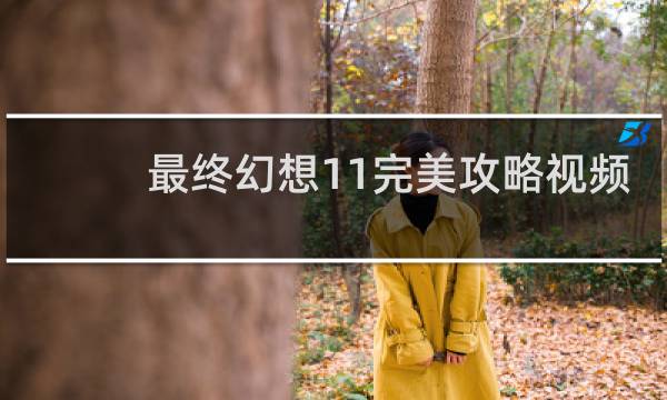 最终幻想11完美攻略视频