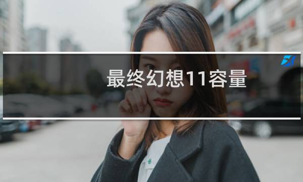最终幻想11容量