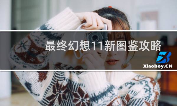 最终幻想11新图鉴攻略