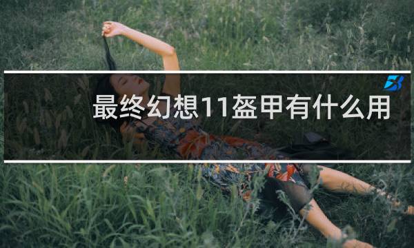 最终幻想11盔甲有什么用