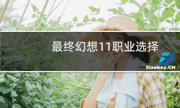 最终幻想11职业选择
