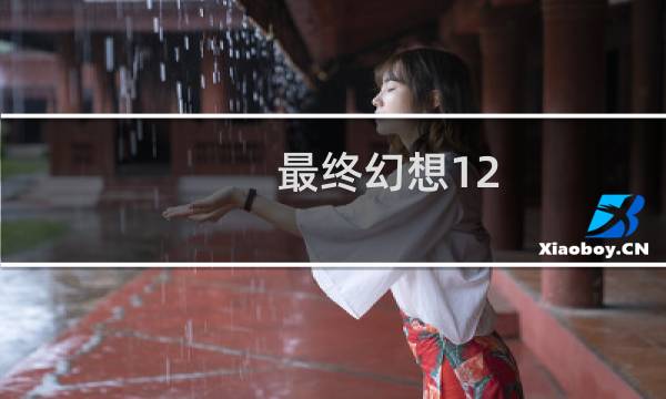 最终幻想12 反转首饰