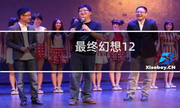 最终幻想12 搭配