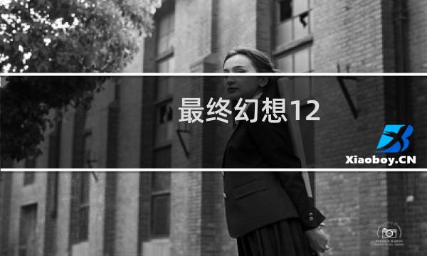 最终幻想12 暴雪
