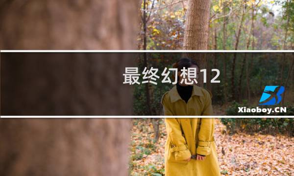 最终幻想12 武僧格斗