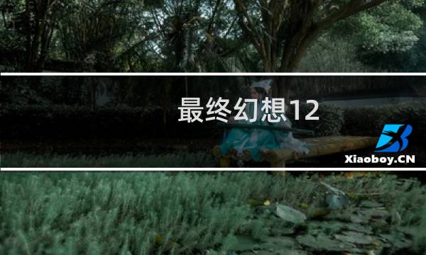 最终幻想12 罐