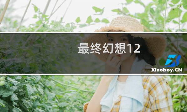 最终幻想12 肉盾