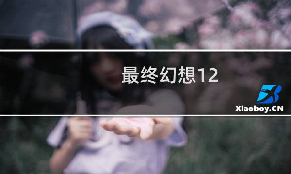 最终幻想12 25%