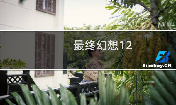 最终幻想12 ps4 pro