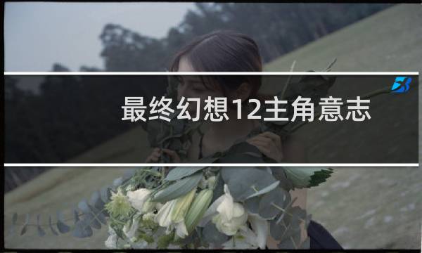 最终幻想12主角意志