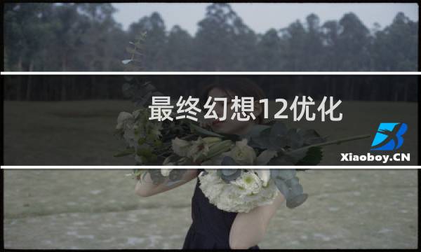最终幻想12优化