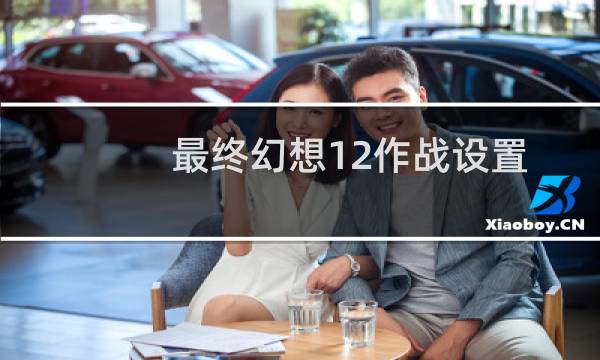 最终幻想12作战设置