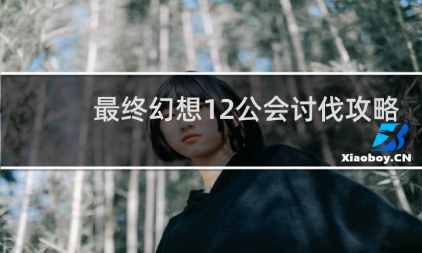 最终幻想12公会讨伐攻略
