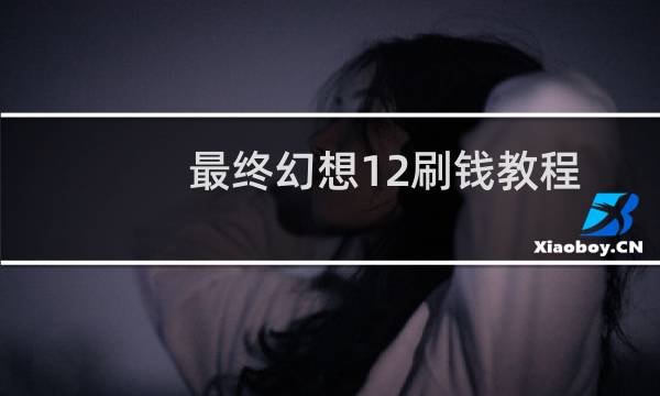 最终幻想12刷钱教程