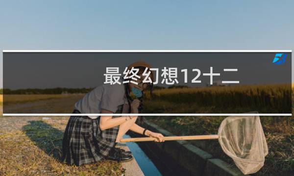 最终幻想12十二