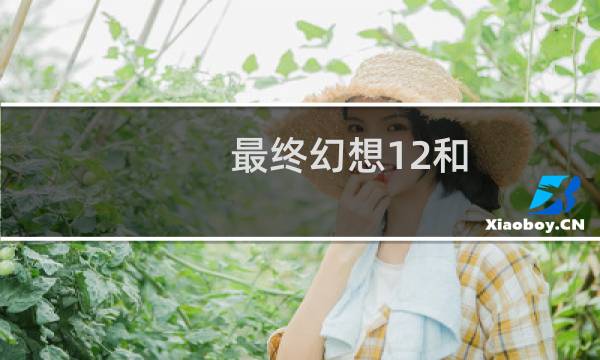 最终幻想12和